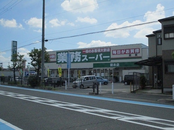 高石グリーンモール　業務スーパー羽衣店（スーパー）／1350m　